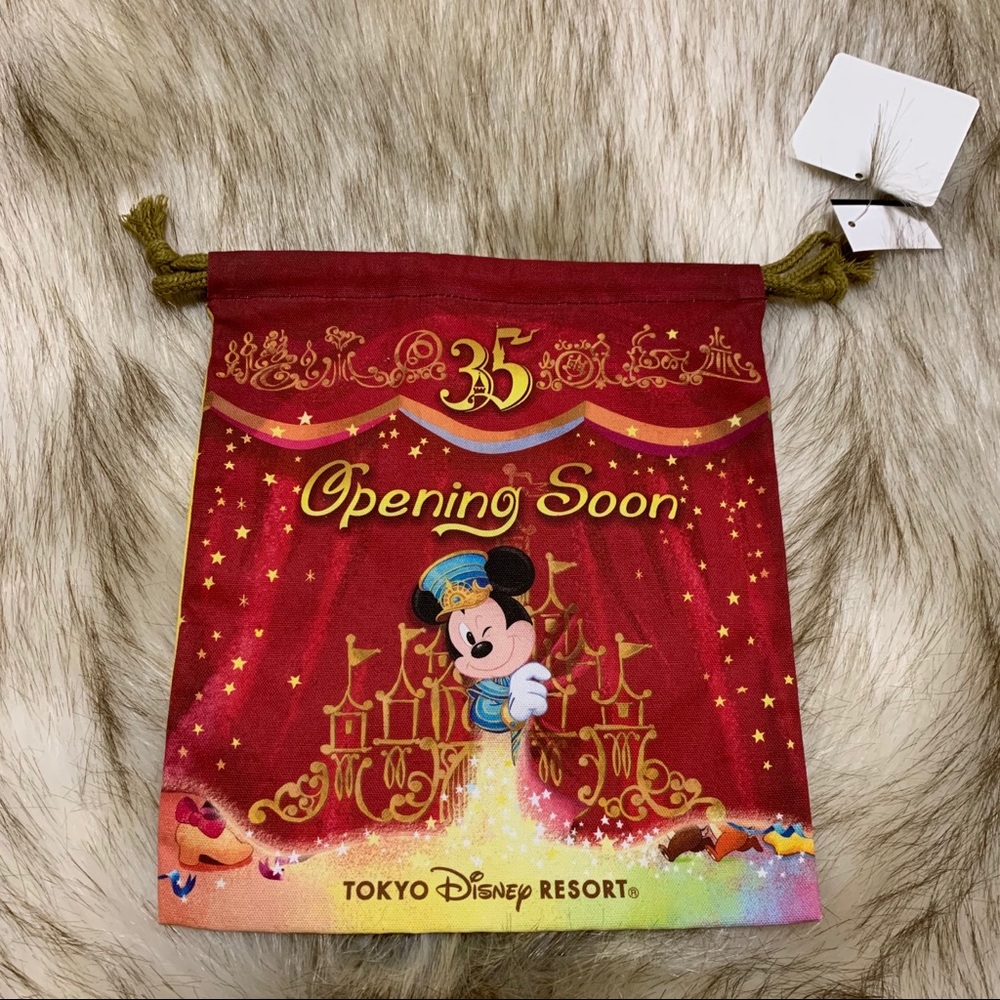 Tokyo Disneyland resort 35th anniversary pouch